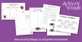 New Spider Worksheets