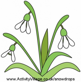 Snowdrop Activities for Spring!