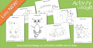 Topping Up Our British Wildlife Dot to Dots