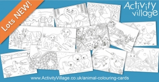 Topping Up Our Collection of Animal Colouring Cards