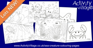 Topping Up Our Sea Creature Colouring Pages