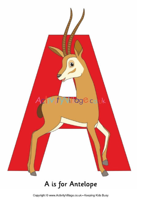 A is for antelope poster
