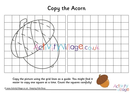 Acorn grid copy