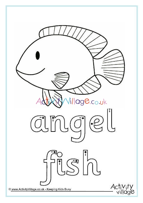 Angel Fish Finger Tracing