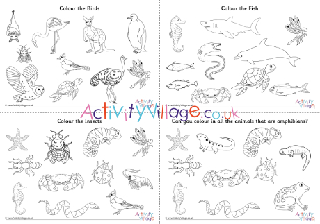 Animal classification colouring pages