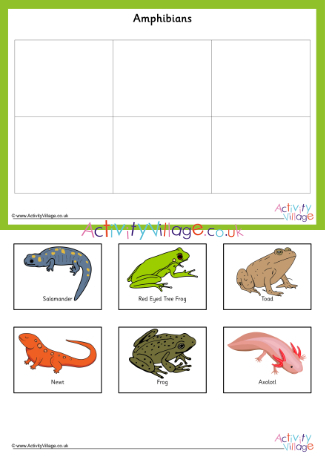 Animal classification memory game