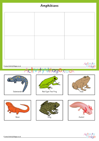 Animal Classification Memory Game Animal Classification Memory Game
