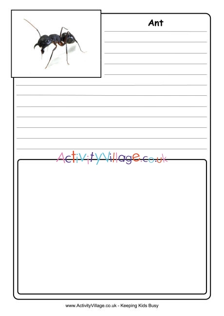 Ant notebooking page