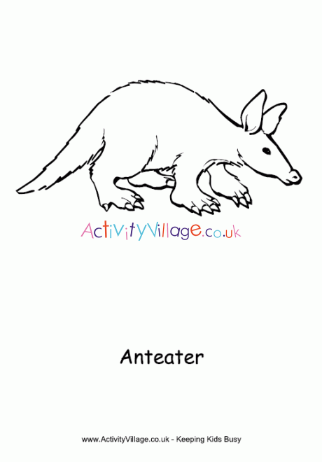 Anteater colouring page