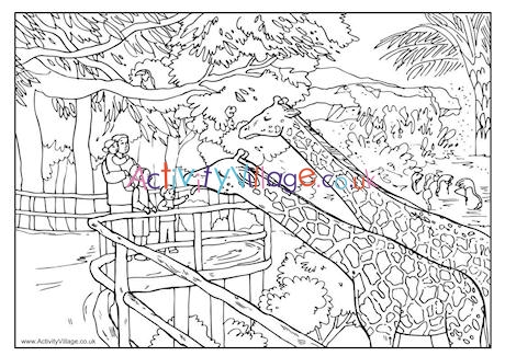 At the zoo colouring page