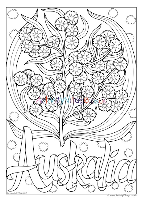 Australia national flower colouring page