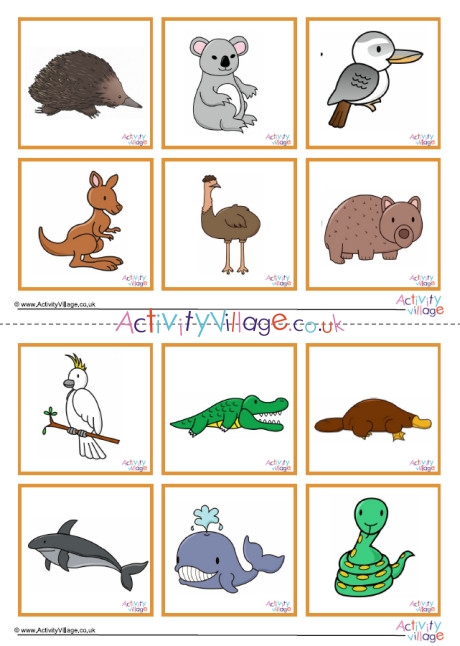 Australian Animal Cards