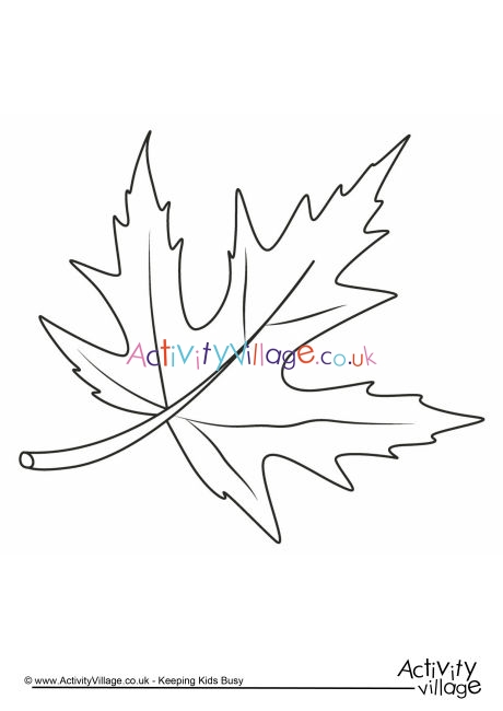 Autumn leaf colouring page 1