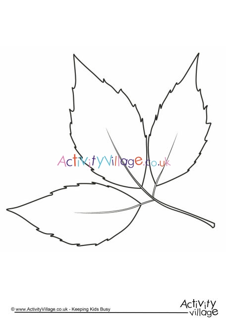 Autumn leaf colouring page 2