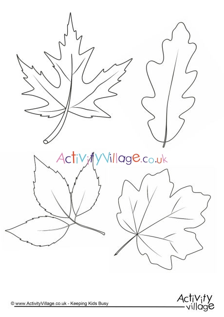 Autumn leaves colouring page