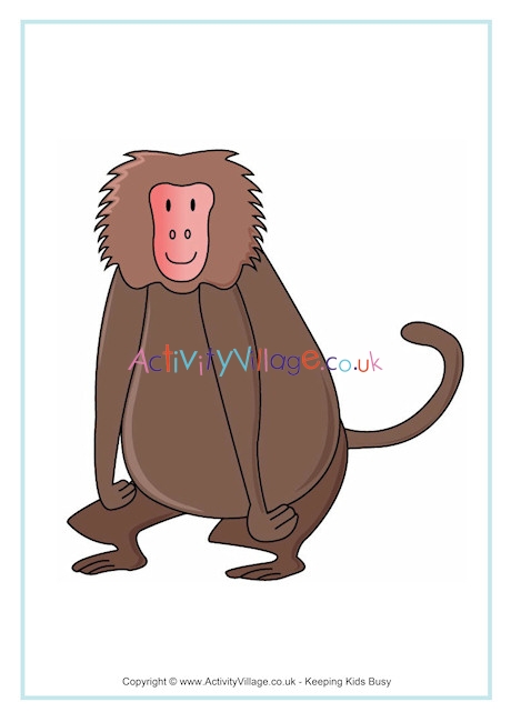 Baboon Poster