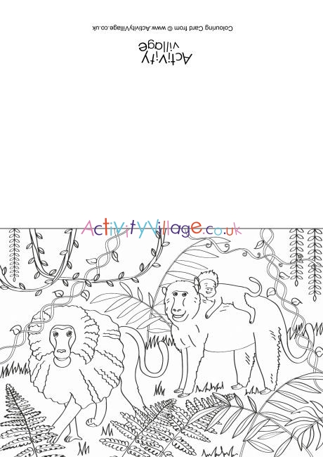 Baboons Scene Colouring Card