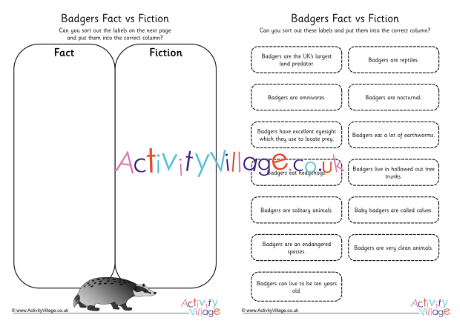 Badger Fact vs. Fiction