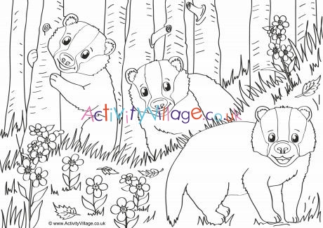 Badgers Scene Colouring Page