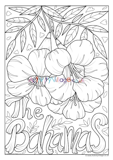Bahamas National Flower Colouring Page
