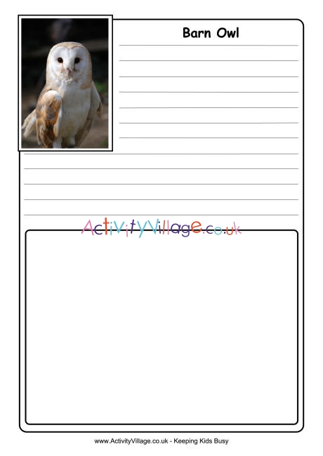 Barn Owl notebooking page