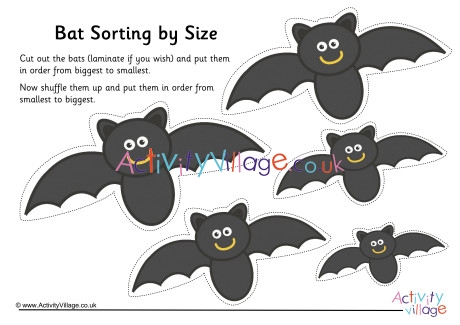Bat Size Sorting
