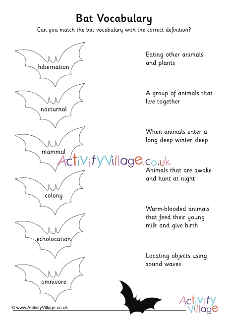 bat-vocabulary-worksheet