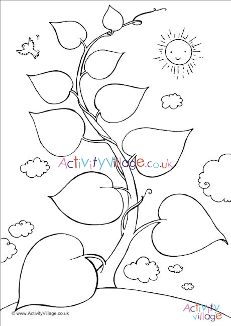 Beanstalk colouring page