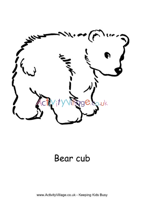 Bear cub colouring page