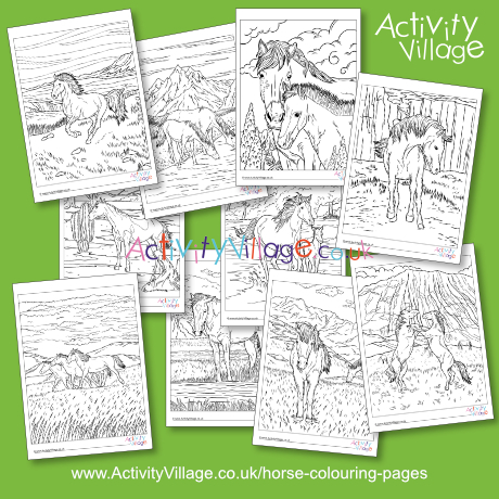 Beautiful horses colouring pages pack 1