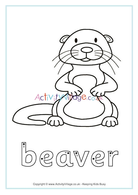 Beaver finger tracing