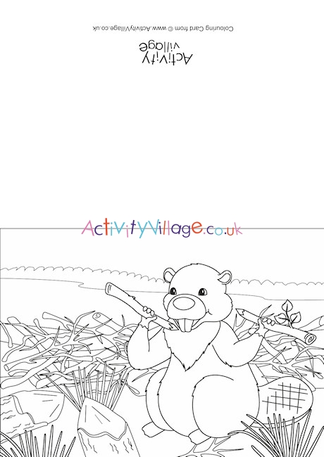 Beaver Scene Colouring Card