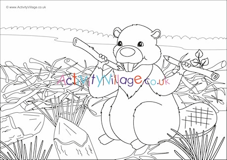 Beaver Scene Colouring Page