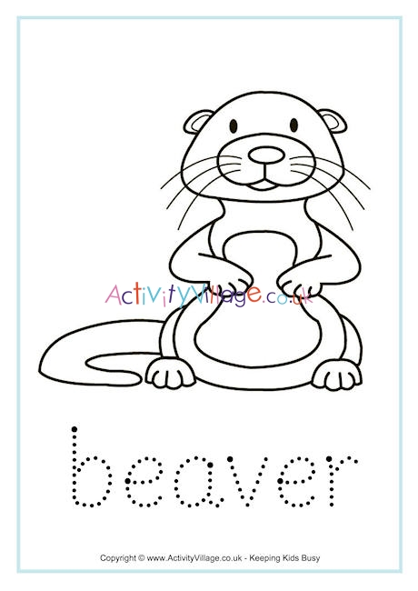 Beaver tracing
