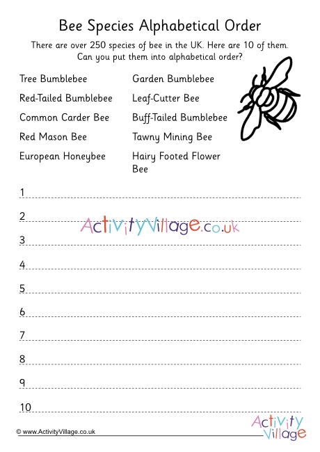 Bee species alphabetical order worksheet