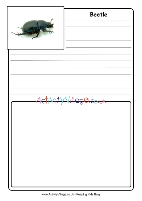 Beetle notebooking page