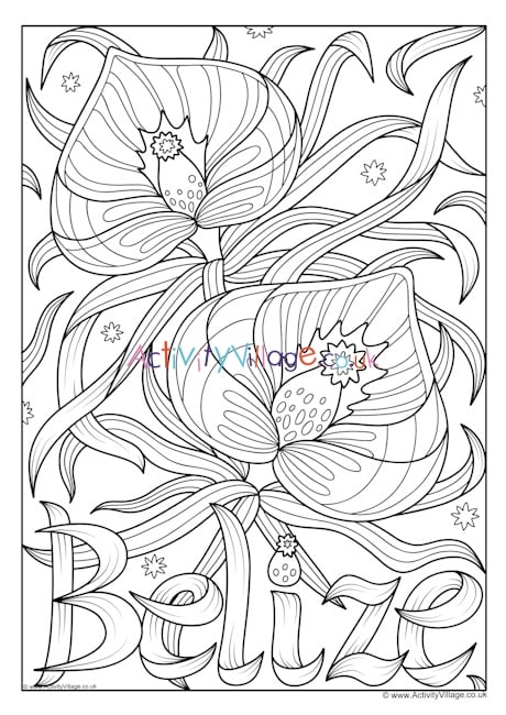 Belize National Flower Colouring Page
