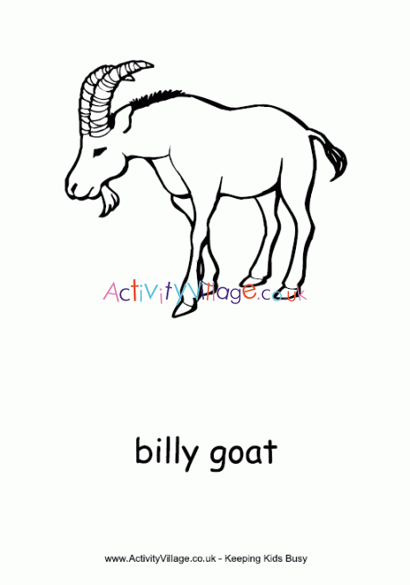 Billy goat colouring page