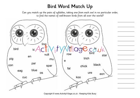 Bird word match up