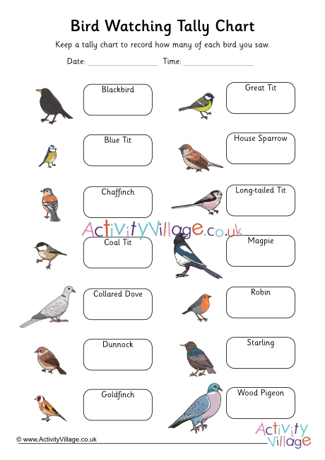 Birdwatching Tally Chart Boxes