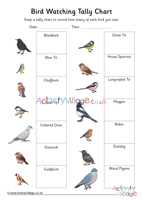 Birdwatching Tally Chart Grid