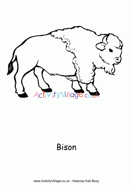 Bison colouring page