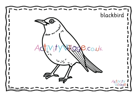 Blackbird Colouring Page