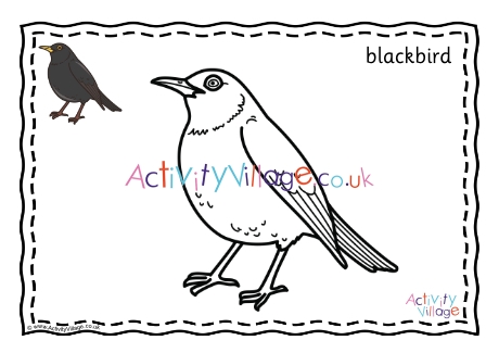Blackbird Colouring Page Prompted