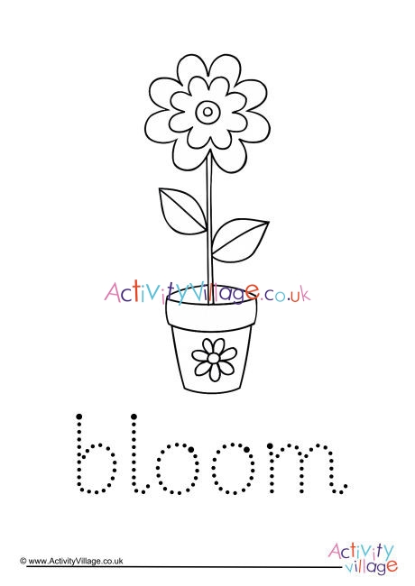 Bloom Word Tracing