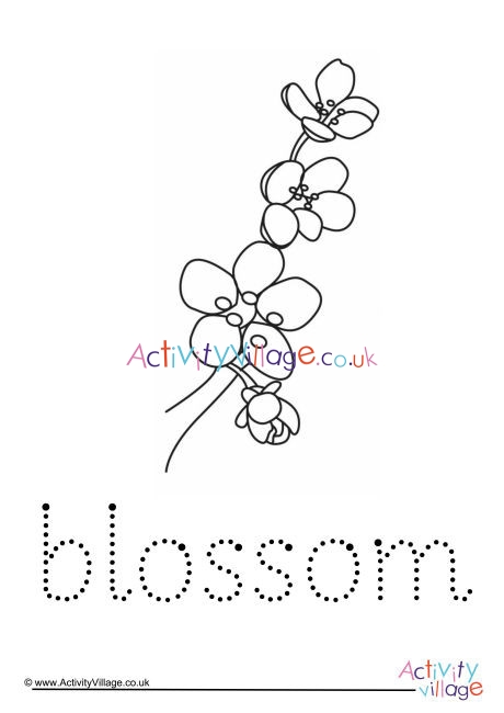Blossom Word Tracing