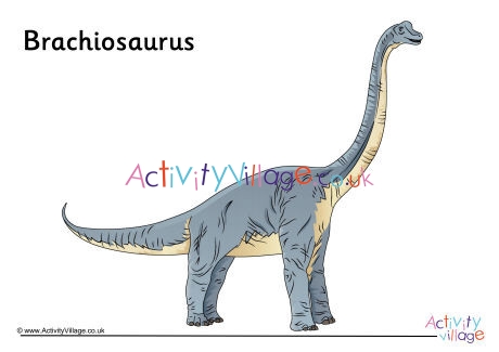 Brachiosaurus Poster