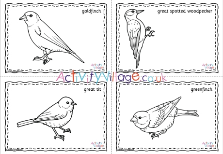 British Garden Birds Colouring Pages