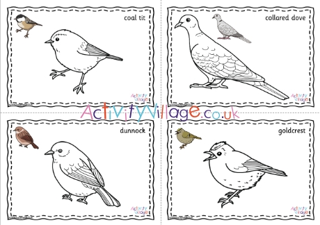 British Garden Birds Colouring Pages Prompted