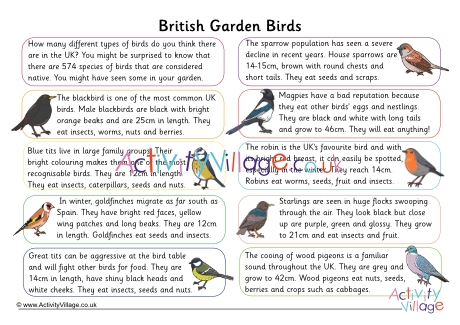 British garden birds comprehension